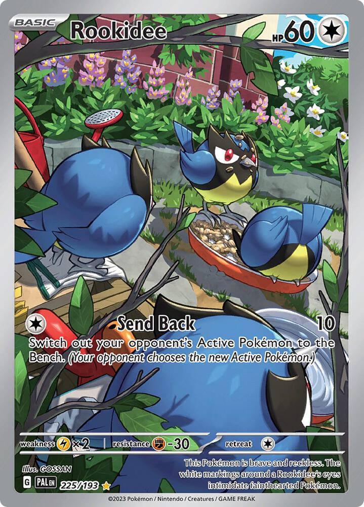 Rookidee(NM)-Paldea Evolved