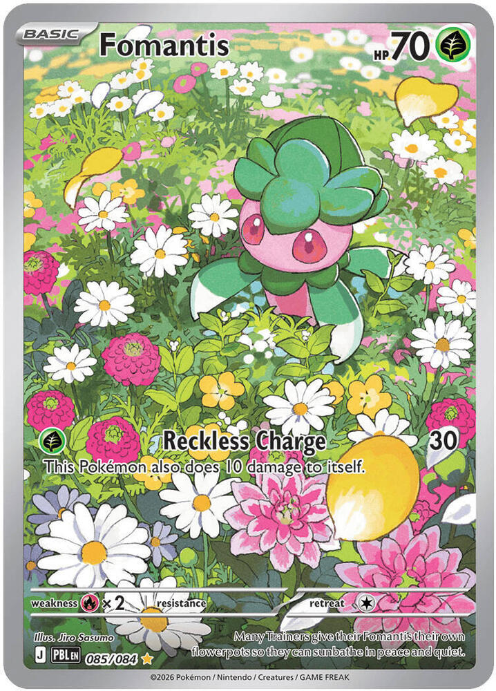 Fomantis(NM)-Pitch Black