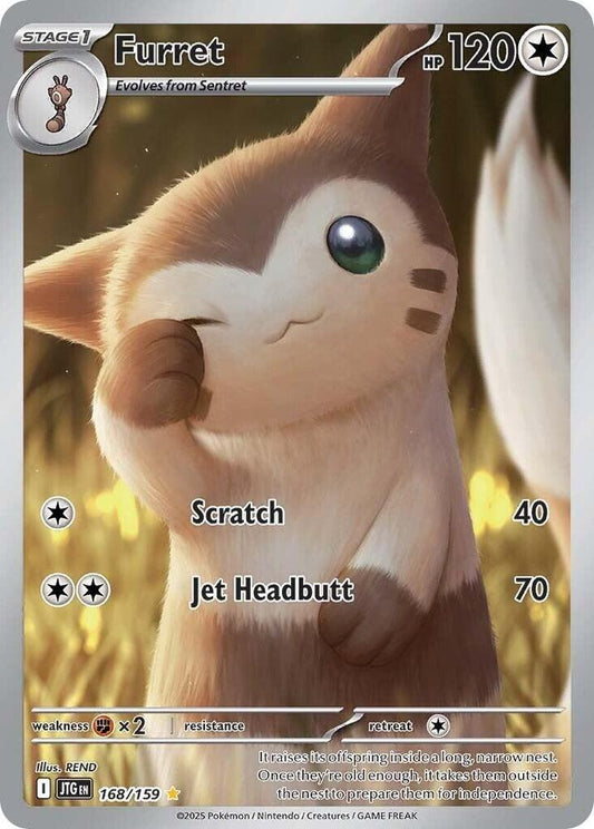 Furret(NM)-Journey Together
