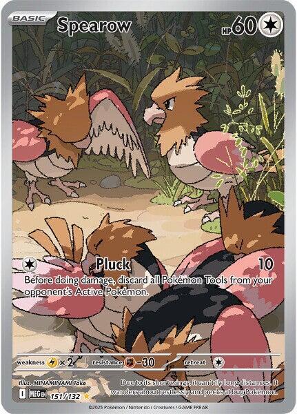 Spearow(NM)-Mega Evolution