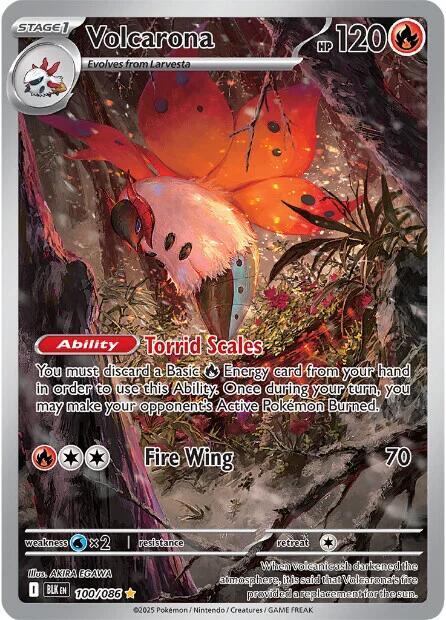 Volcarona(NM)-Black Bolt